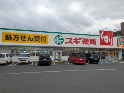 スギ薬局川口新郷店