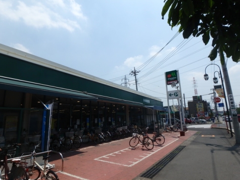 マルエツ
