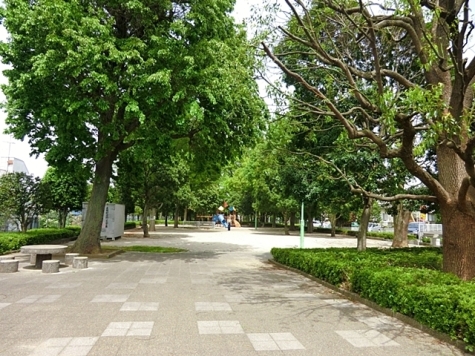 中公園