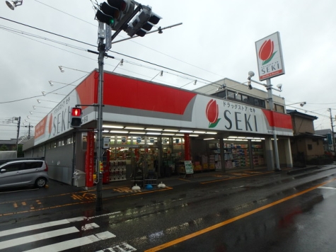 ドラッグストアセキ鳩ヶ谷店